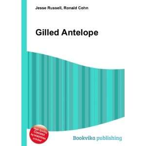  Gilled Antelope Ronald Cohn Jesse Russell Books