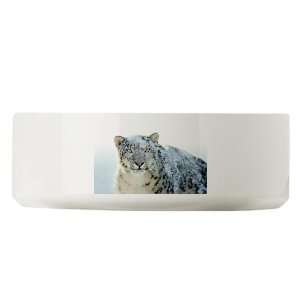  Large Dog Cat Food Water Bowl Snow Leopard HD Apple 