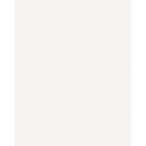  Formica Sheet Laminate 5x12   Neutral White
