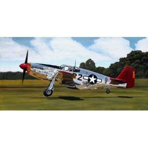  Tuskegee Ace   Sam Lyons   P 51 Mustang Ace Lee Archer 