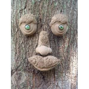  WoodChuck Tree Face