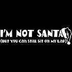 Funny T Shirt Im Not Santa But You Can Still Sit On My Lap Tee Xl Blk