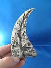 HUGE WHITE UTAHRAPTOR CLAW UNRESTORED REPLICA 7 inches long