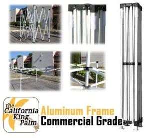 10X20 Canopy Tent Commercial Grade Black Aluminum Frame  