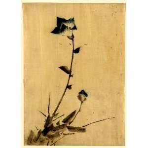  1830 Japanese Print . Blue flower blossom and bud at the 