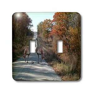   Trip in the Autumn   Light Switch Covers   double toggle switch Home