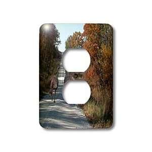   Trip in the Autumn   Light Switch Covers   2 plug outlet cover Home