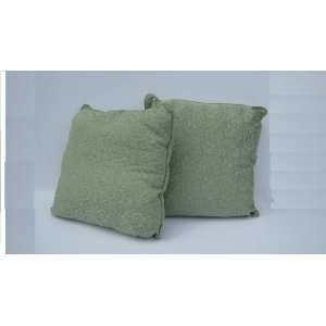 Set of 2 Indoor Scroll Pillows   Sage 