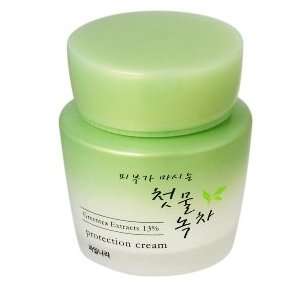 Spring Leaves of Green Tea Natural Facial Protection Cream 