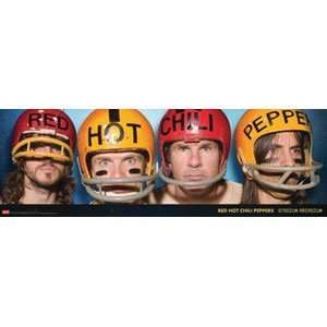  Red Hot Chili Peppers   Posters   Slim Prints