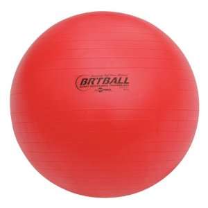 Burst Resistant Training and Exercise Ball 65 cm Sports 