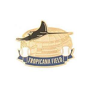    Tampa Bay Devil Rays Stadium Pin by Aminco