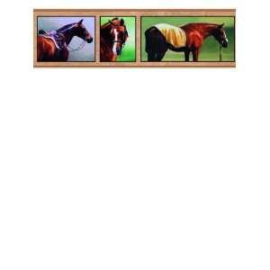   York Border Gallery Horse Snapshot HJ6621BD