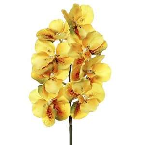   Pack of 6 Artificial Yellow Vanda Orchid Flower Sprays