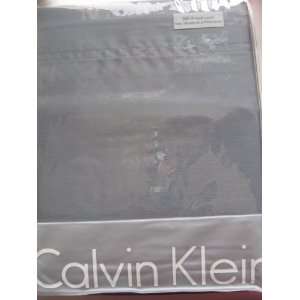  Calvin Klein 300 Thread Count Standard Pillowcases (2 
