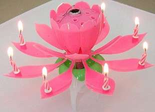   Musical Blossom Lotus Flower Candle Birthday Party Music Sparkle