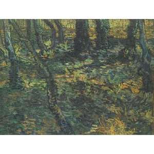   Vincent Van Gogh   24 x 18 inches   Undergrowth wit