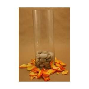 Cylinder Glass Vase 5x14 Arts, Crafts & Sewing