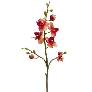 Pack of 12 Artificial Coral Burgundy Phalaenopsis Orchid Silk Flower 