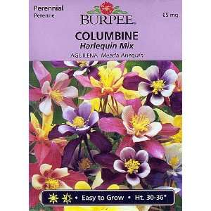    Burpee Harlequin Mix Columbine   50 Seeds Patio, Lawn & Garden