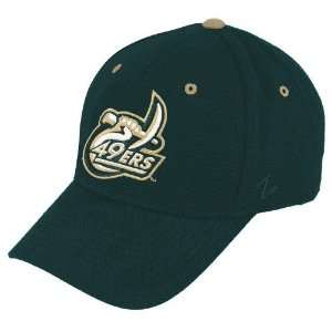  Zephyr Charlotte 49ers Green DH Z Fit Hat (Medium/Large 