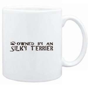    Mug White  OWNED BY Silky Terrier  Dogs