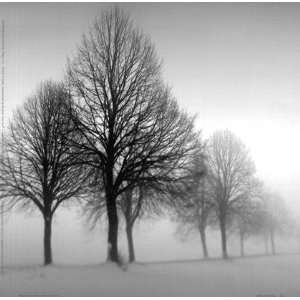 Winter Trees II by Ilona Wellmann 8x8 
