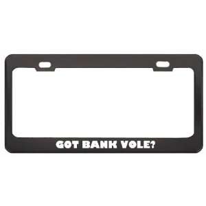 Got Bank Vole? Animals Pets Black Metal License Plate Frame Holder 
