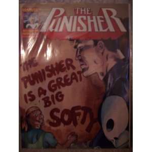 The Punisher No. 14 Mike Baron  Books