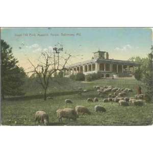   ca. 1911  sheep by Mansion House in Druid Hill Park ca. 1911 Home