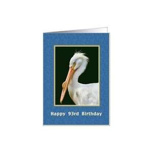    Birthday, 93rd, American White Pelican Bird Card Card Toys & Games