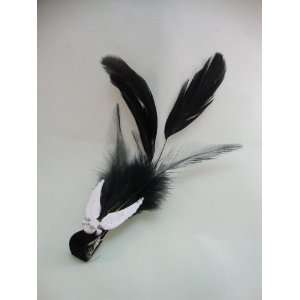  Black and White Feather Skull with Wings Hair Clip 