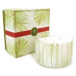   Thymes Frasier Fir Large Multi Wick Aromatic Candle   17 oz. Beauty