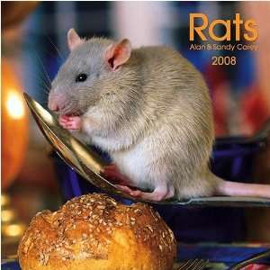  Rats 2008 Wall Calendar