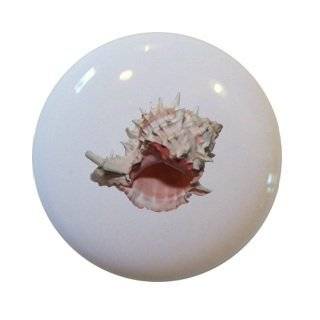 Murex Seashell Ceramic Cabinet Drawer Pull Knob