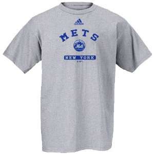  Adidas New York Mets Ash Practice T shirt Sports 