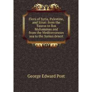   the Mediterranean sea to the Syrian desert George Edward Post Books