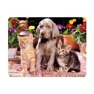  Brand New Animal Mouse Pad Cats and Dogs 