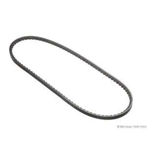  Conti W1002 33138   V Belt Automotive