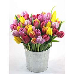 Pre order) Mothers Day Bucket of Tulips  
