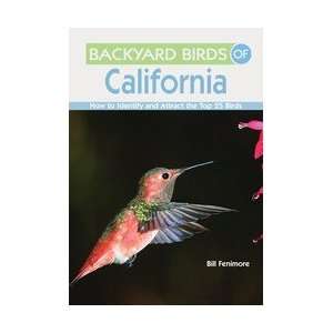  Gibbs Smith Publishing Backyard Birds of California Patio 