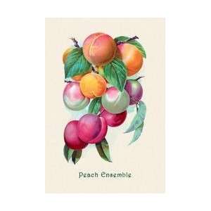  Peach Ensemble 24x36 Giclee