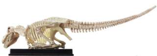 3d capsule encyclopedia solid dinosaur zukan 1 100 model t rex bone 
