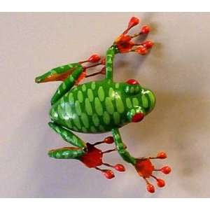  World Buyers   Tree Frog Magnet
