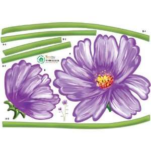  Purple Cosmos Vibrant Flower Sprouts and stem   Reusable 
