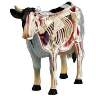 Kikkerland 3D Cow Anatomy Model Puzzle 
