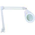 Zadro Natural Daylight Clamp On Magnifying Lamp