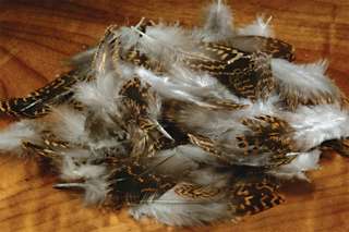 English Grouse Soft Hackle Feathers   Fly Tying  