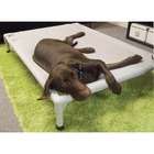 Coolaroo Aluminum Frame Elevated Dog Bed   Size X Large (52 x 37)
