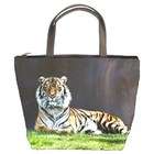 Carsons Collectibles Bucket Bag (Purse, Handbag) of Bengal Tiger 